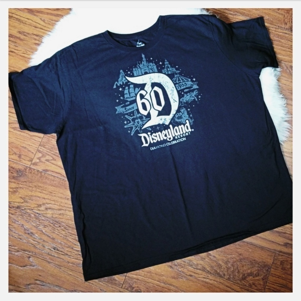 Disney Resort Anniversary Tshirt - Picture 1 of 5